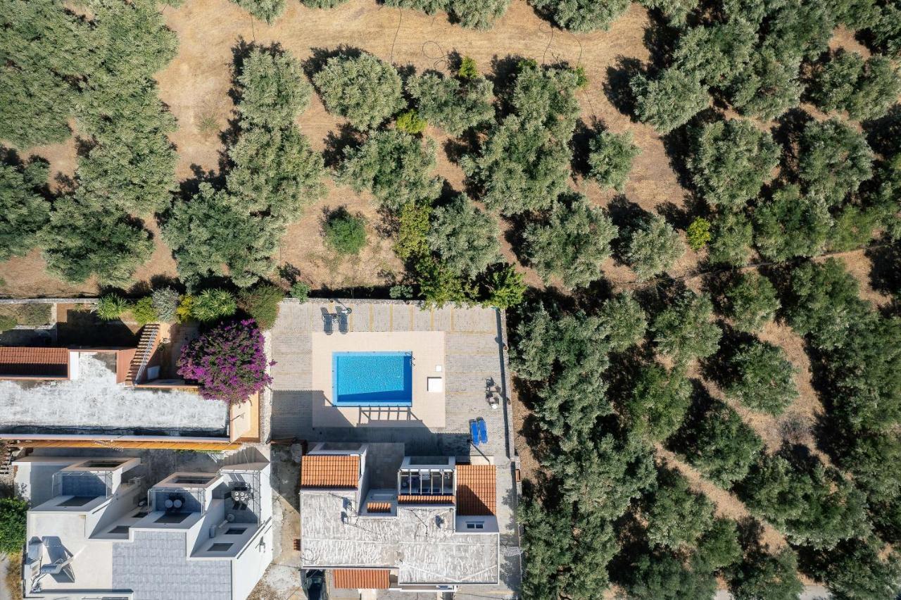 Greek Sky - New Modern Apartment With Shared Pool ตาวโรไนติส ภายนอก รูปภาพ